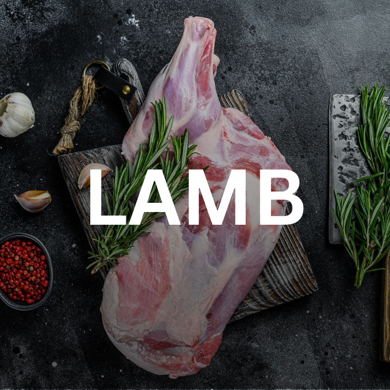 Lamb